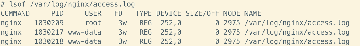 image-20250206173342247